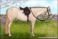 Horse Color:Gold Champagne Pearl Rabicano  and Gold Champagne Pearl Rabicano 