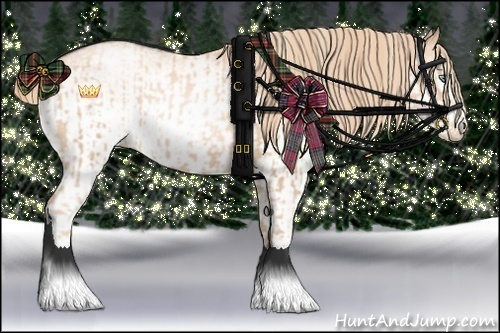 Horse Color:Gold Champagne Pearl Rabicano and White Spotted Gold Champagne Pearl Rabicano
