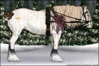 Horse Color:Gold Champagne Pearl Rabicano  and White Spotted Gold Champagne Pearl Rabicano 