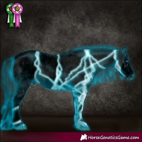 Horse Color:Void Thunderstruck White Spotted Blue Roan Splash Frame Appaloosa 