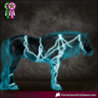 Horse Color:Void Thunderstruck White Spotted Blue Roan Splash Frame Appaloosa 