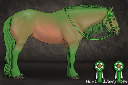 Horse Color:Watercolor Bay 