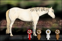 Horse Color:Buckskin Roan Pearl  and Buckskin Roan Pearl 