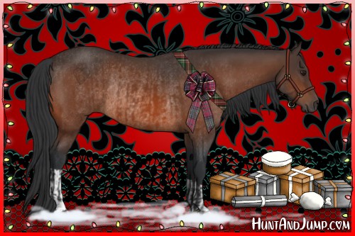 Horse Color:Brown Rabicano  and Bay Rabicano 