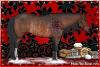 Horse Color:Brown Rabicano and Bay Rabicano