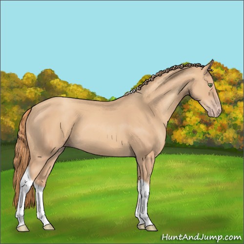 Horse Color:Gold Champagne Tobiano Rabicano