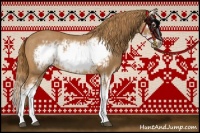 Horse Color:Chestnut Splash Frame and Chestnut Splash Frame Rabicano