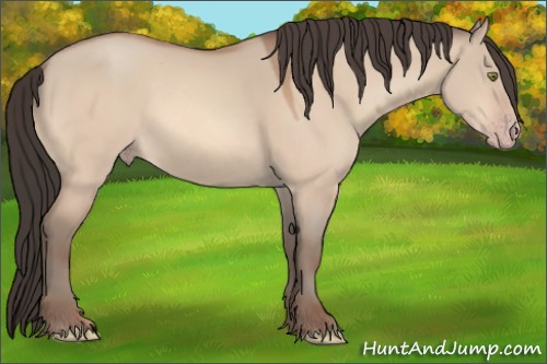 Horse Color:Amber Champagne Dun 