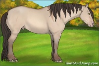 Horse Color:Amber Champagne Dun 