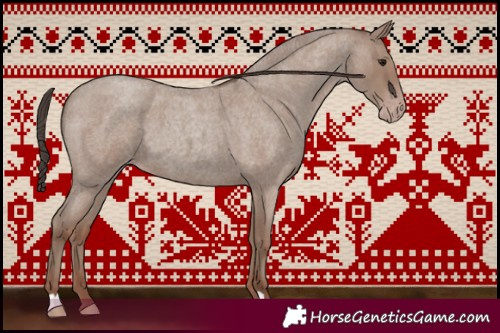 Horse Color:Classic Champagne Roan 