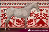 Horse Color:Classic Champagne Roan 
