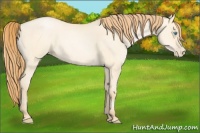 Horse Color:Buckskin Pearl Dun