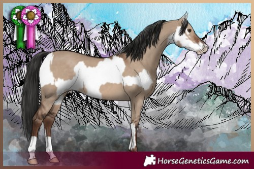 Horse Color:White Spotted Liver Red Dun Leopard and Liver Red Dun