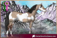 Horse Color:White Spotted Liver Red Dun Appaloosa and Liver Red Dun