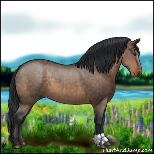 Horse Color:Brown Dun and Brown Dun