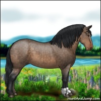 Horse Color:Brown Dun and Brown Dun