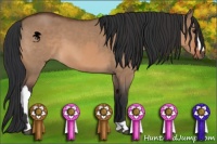 Horse Color:Bay Dun  and Bay Dun 