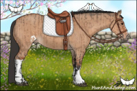 Horse Color:Bay Dun  and Bay Dun 