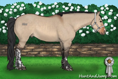 Horse Color:Brown Dun and Brown Dun
