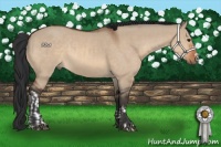Horse Color:Brown Dun  and Brown Dun 