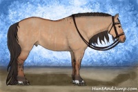 Horse Color:Bay Dun  and Bay Dun 