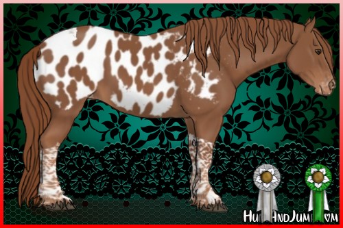 Horse Color:Chestnut Tobiano Near Leopard 