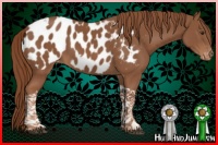 Horse Color:Chestnut Tobiano Near Leopard 