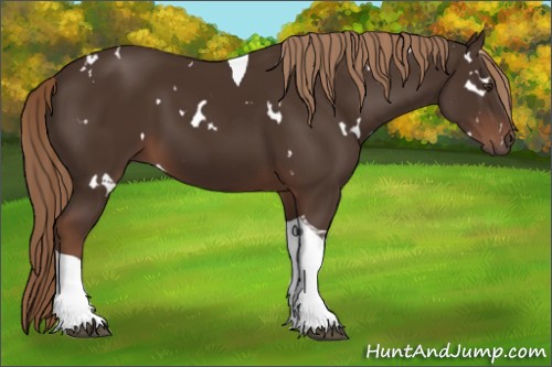 Horse Color:White Spotted Liver Chestnut Tobiano 