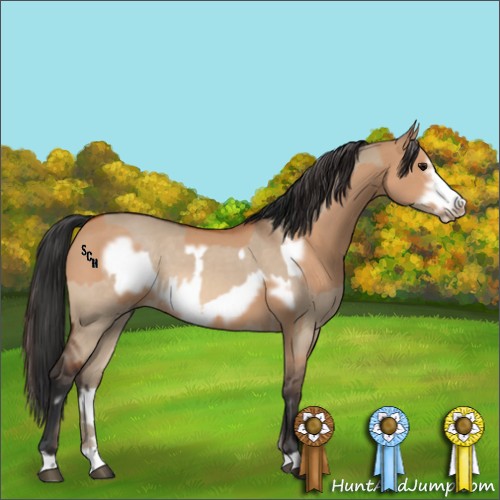 Horse Color:Bay Dun  and Bay Dun Frame 