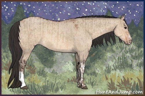 Horse Color:Brown Dun  and Sable Champagne Dun 
