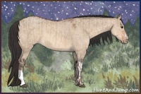 Horse Color:Brown Dun  and Sable Champagne Dun 