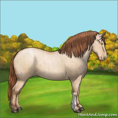Horse Color:Bay Pearl Dun  and Buckskin Pearl Dun 