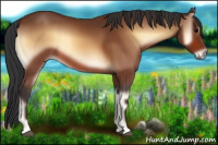 Horse Color:Bay Onyx 