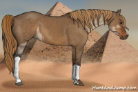 Horse Color:Liver Red Dun  and Gray Liver Red Dun 