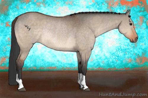 Horse Color:Bay Dun  and Bay Dun Rabicano 