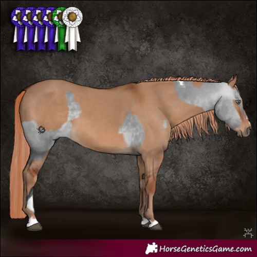 Horse Color:Bay Chinchilla Dun Tobiano  and Red Dun 