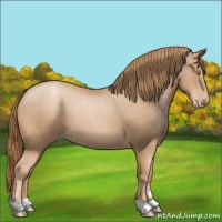 Horse Color:Chestnut Pearl