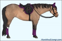 Horse Color:Bay Dun and Bay Dun