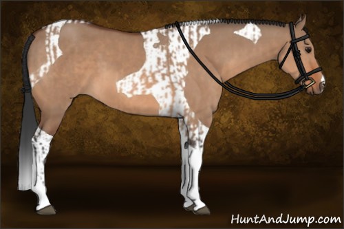 Horse Color:Bay Dun Tobiano  and Brown Dun Tobiano 