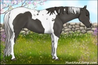 Horse Color:Smoky Black Tobiano 