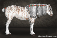 Horse Color:Bay Dun  and Gray Bay Dun 