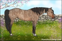Horse Color:Liver Red Dun and Bay Dun