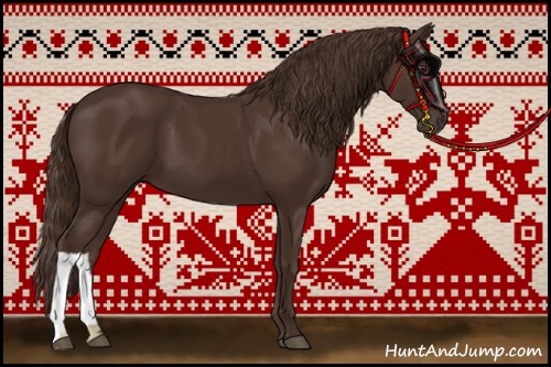 Horse Color:Liver Chestnut 
