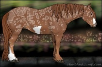 Horse Color:Chestnut Ice 