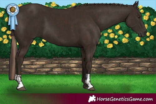 Horse Color:Liver Chestnut  and Liver Chestnut 