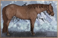Horse Color:Liver Chestnut  and Liver Chestnut Rabicano 