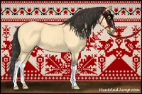 Horse Color:Buckskin Dun
