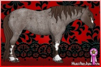 Horse Color:Liver Red Roan  and Liver Red Roan 