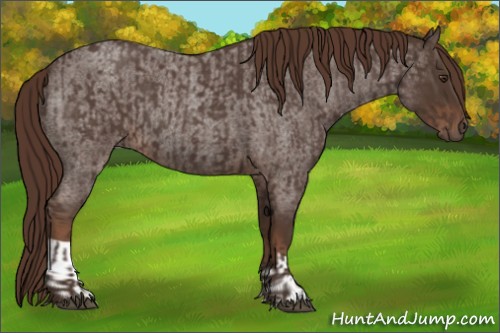 Horse Color:Liver Red Roan  and Liver Red Roan 