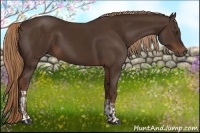 Horse Color:Liver Chestnut and Liver Chestnut